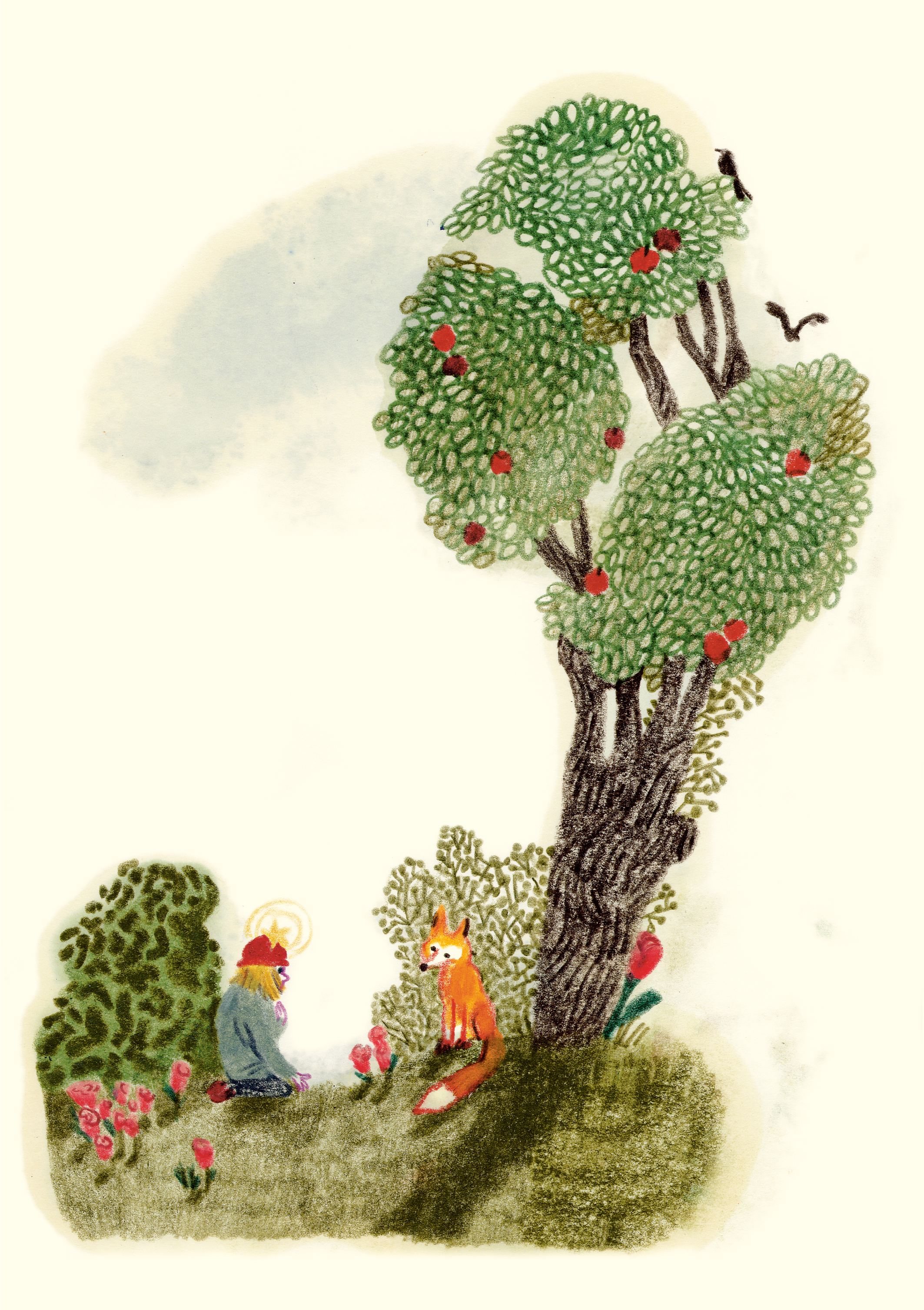 Thumbnail 6