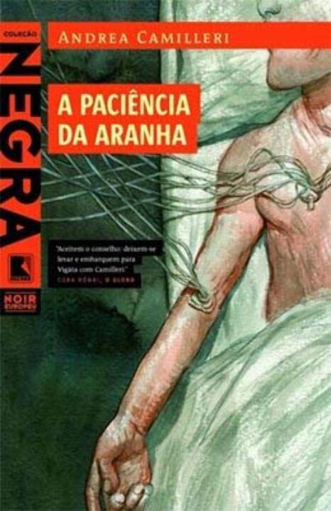 A paciência da aranha