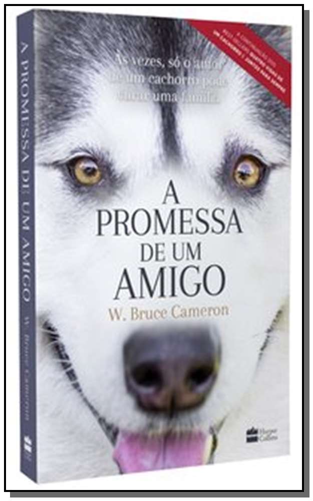 A promessa de um amigo