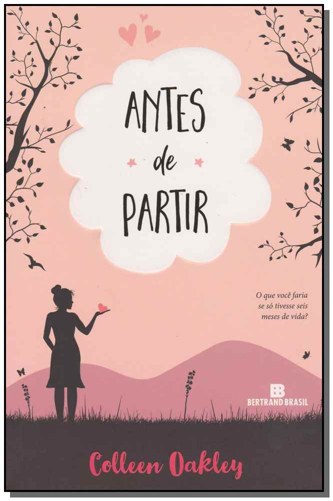 Antes de Partir