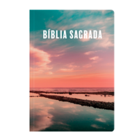 Bíblia ARC - Letra Grande - Brochura - Neutra