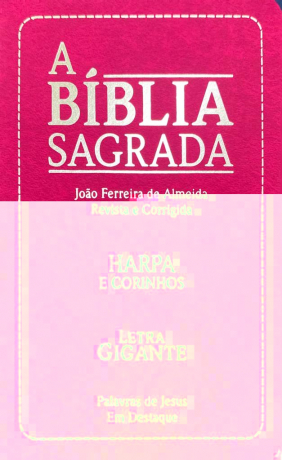 Biblia Sagrada - Evangelica Com Harpa e Corinhos - Rosa