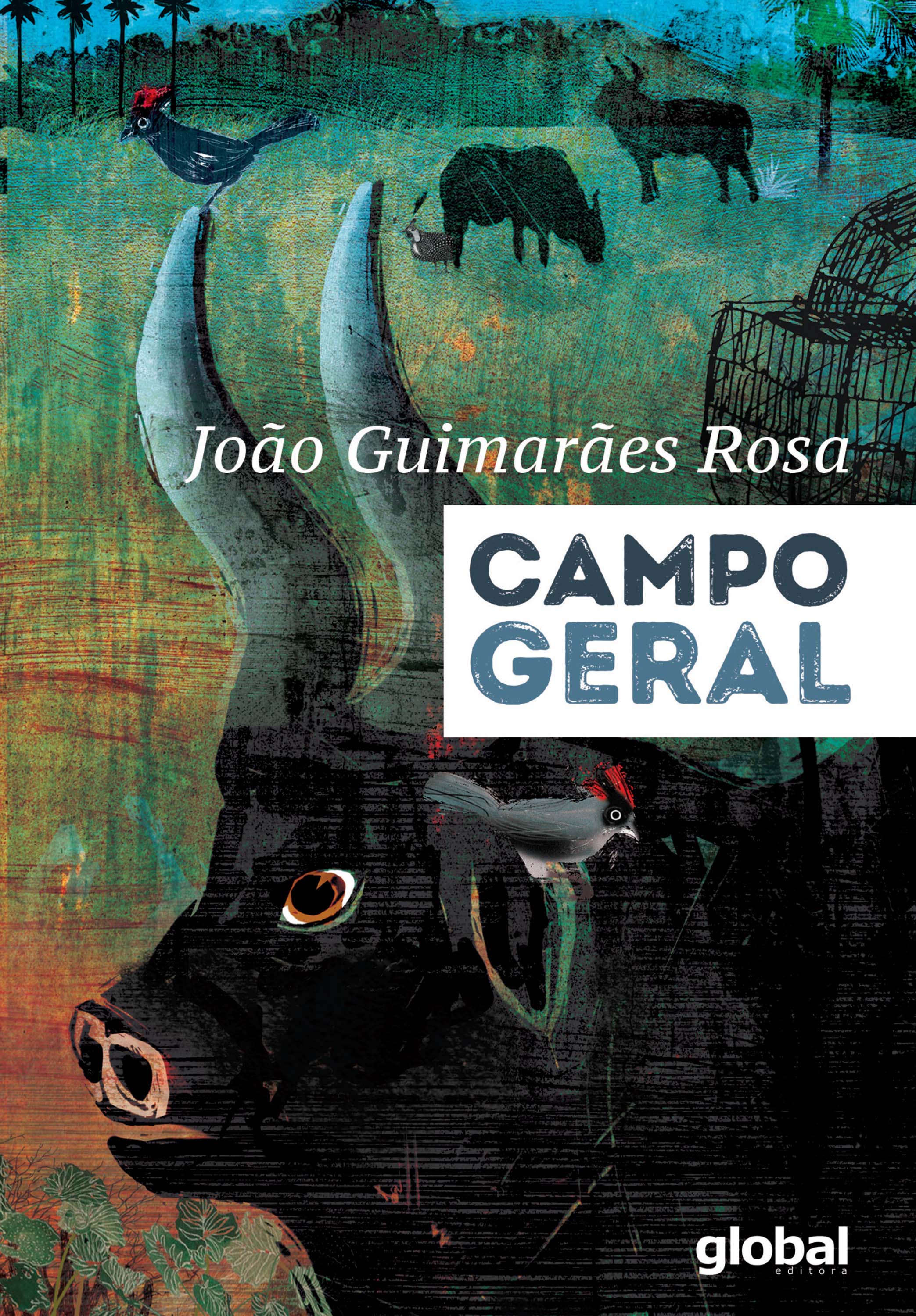 Campo Geral