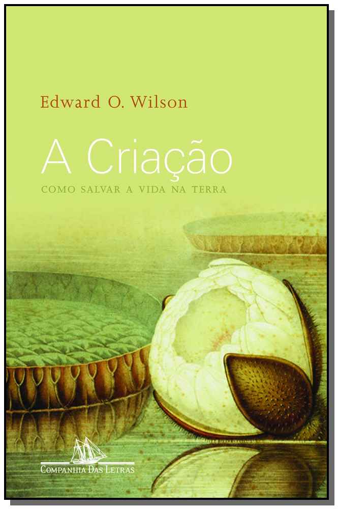 A criação