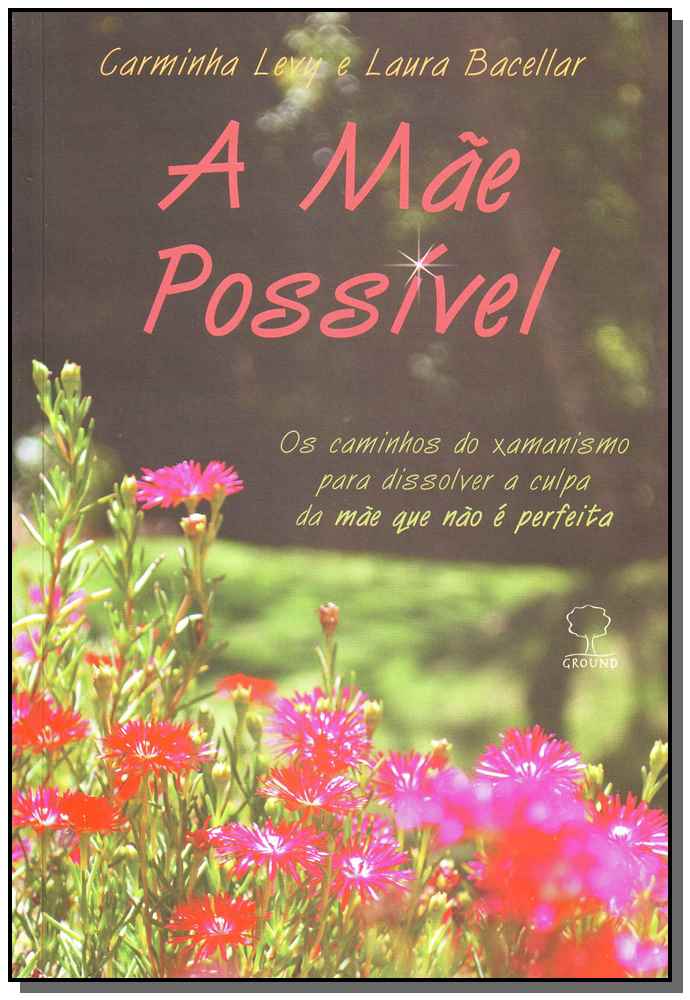 A mãe possível