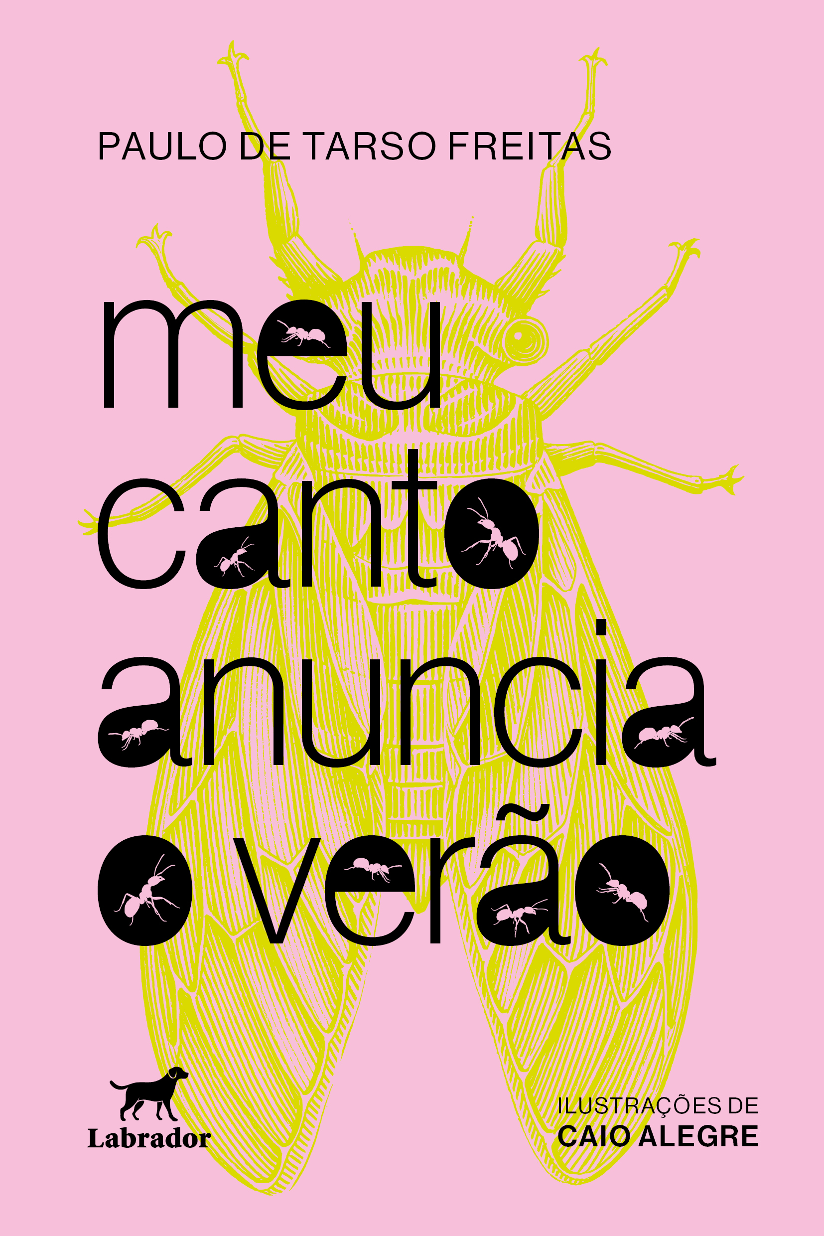 Meu canto anuncia o verão