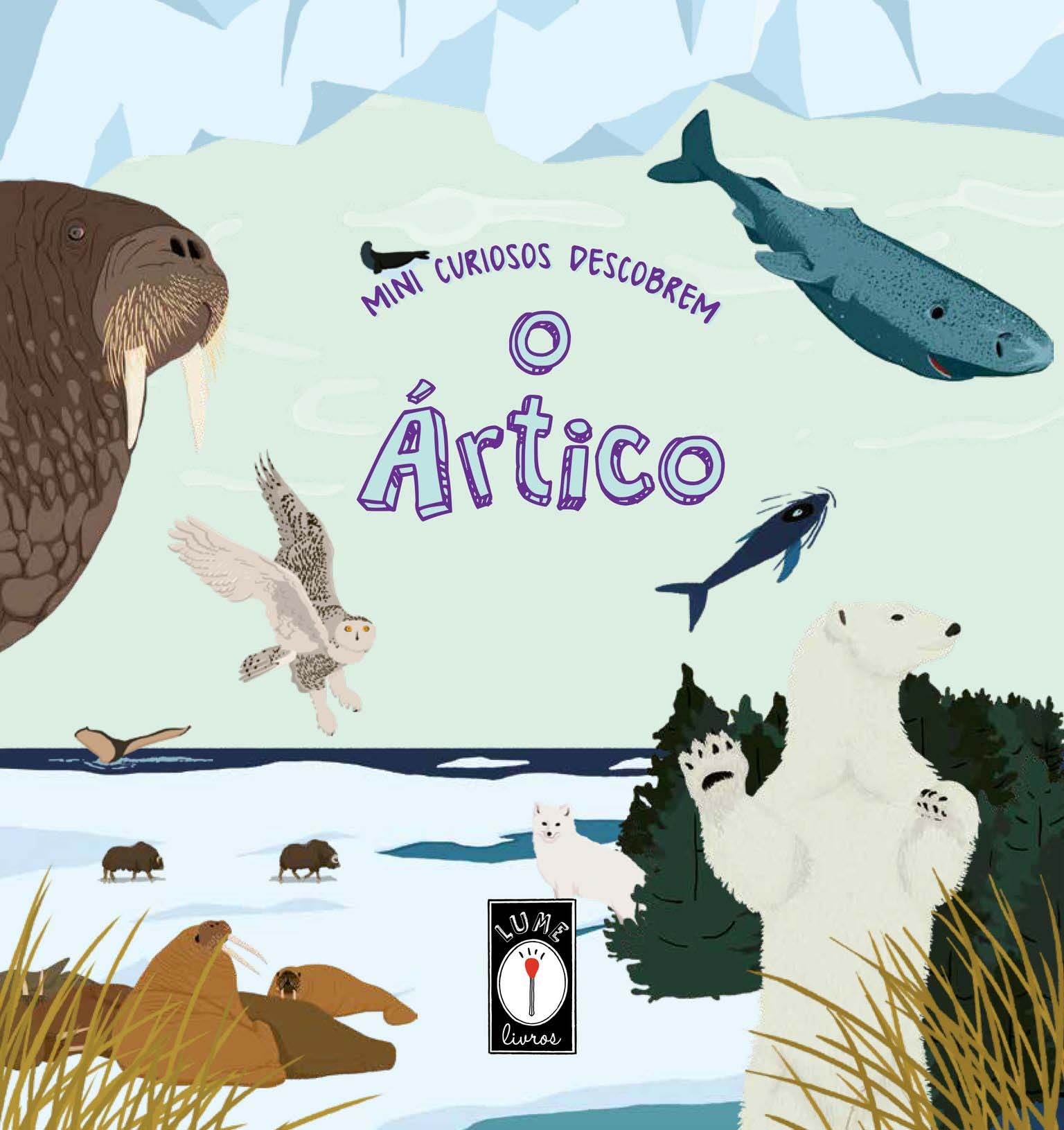 Mini curiosos descobrem o Ártico