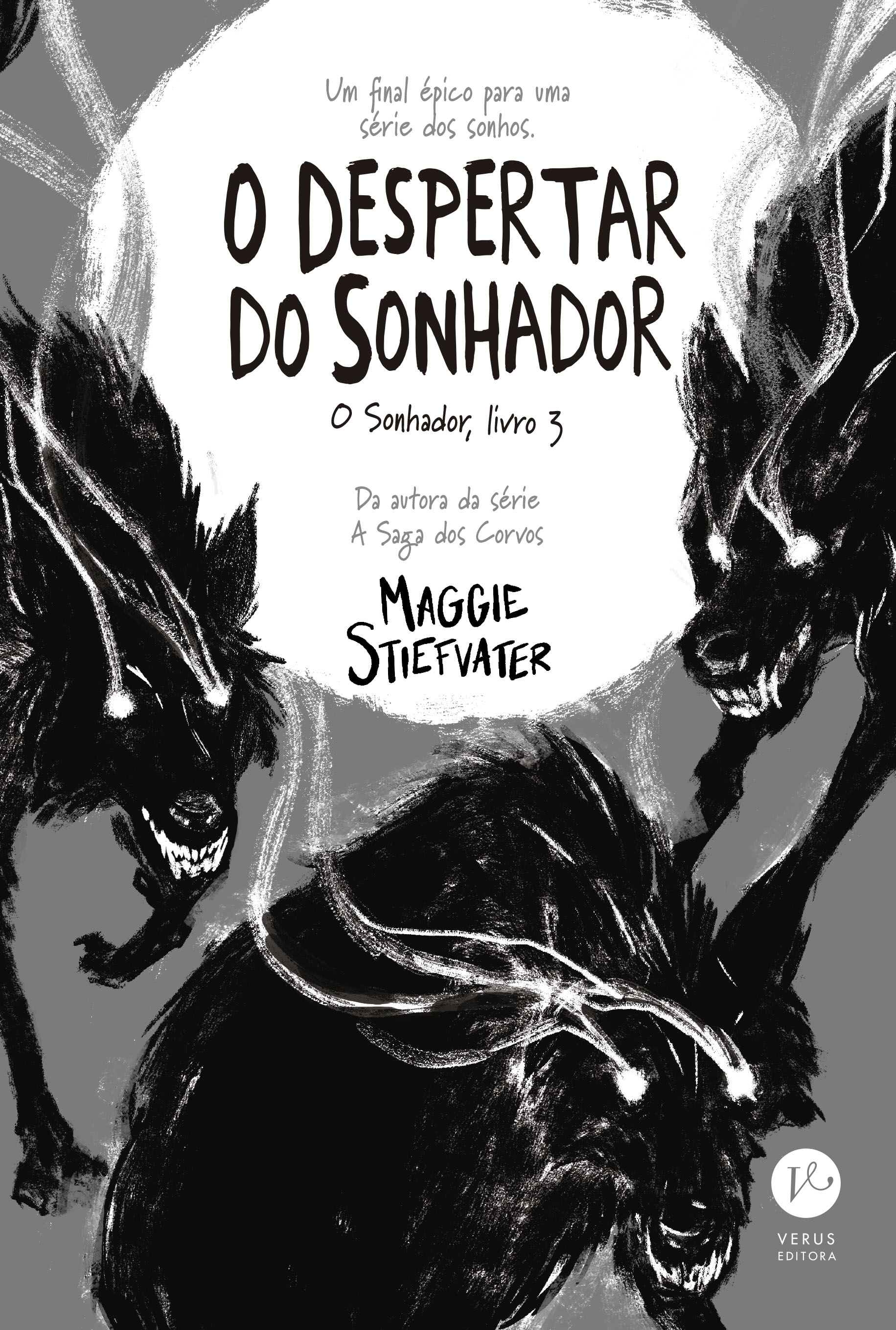 O despertar do sonhador (Vol. 3 O Sonhador)