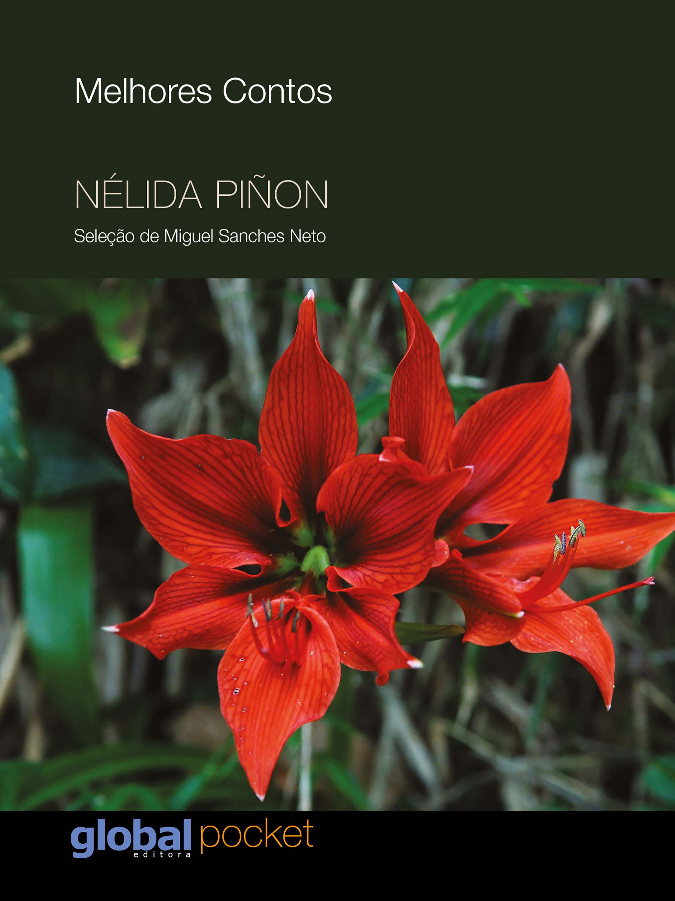 Os Melhores Contos De Nélida Piñon - Seleção De Miguel Sanches Neto