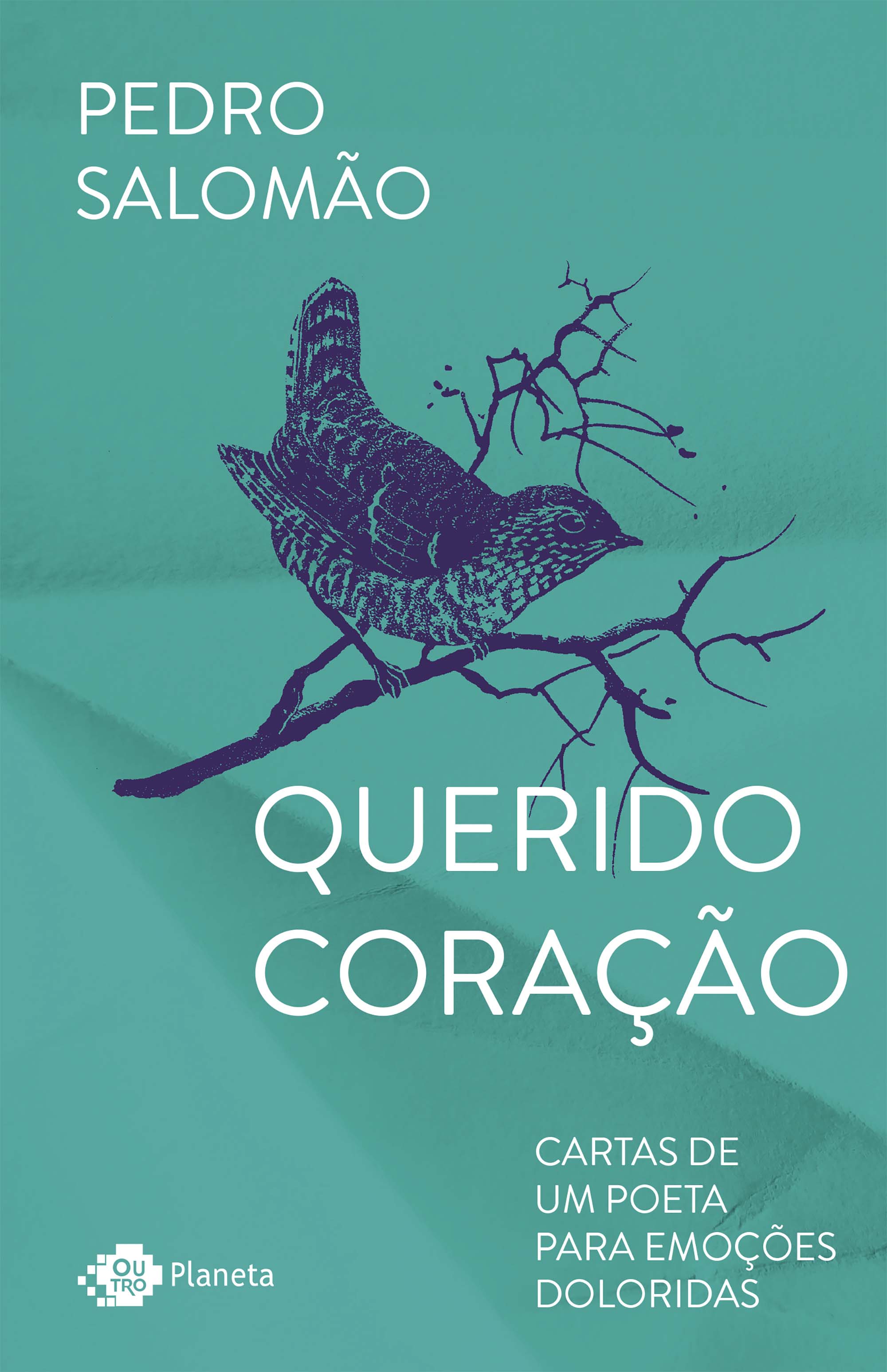 Querido Coração - Cartas De Um Poeta Para Emoções Doloridas