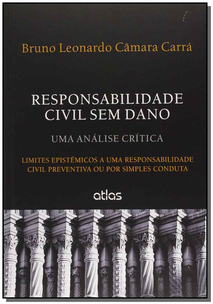 Responsabilidade Civil Sem Dano Limites Epistêmicos A Responsabilidade Civil Prev Ou Simples Conduta